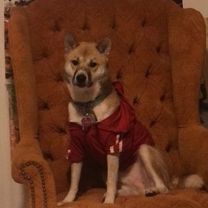 Meet your Posher, Jodi